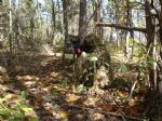 aaron in ghillie suit